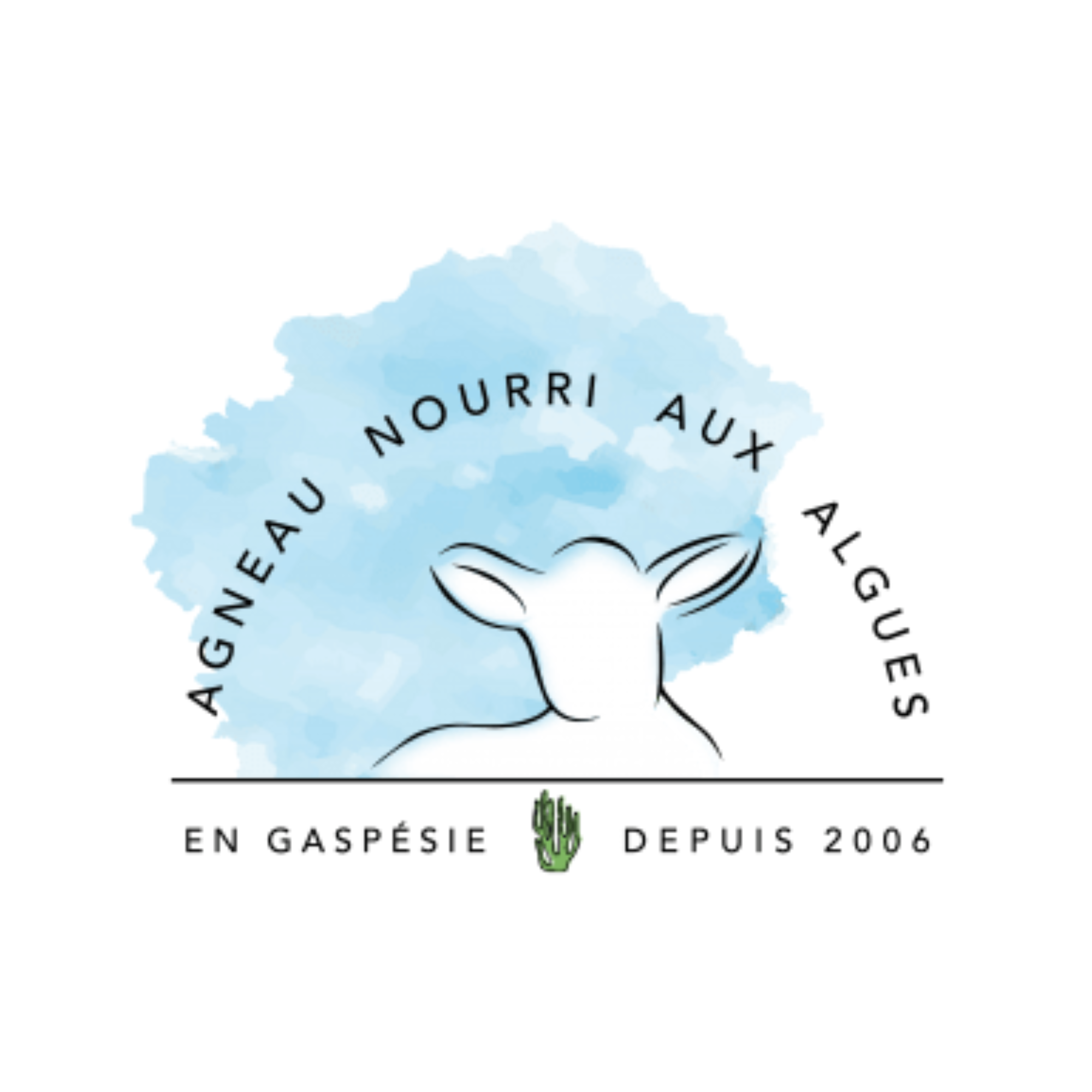 Agneau nourri aux algues