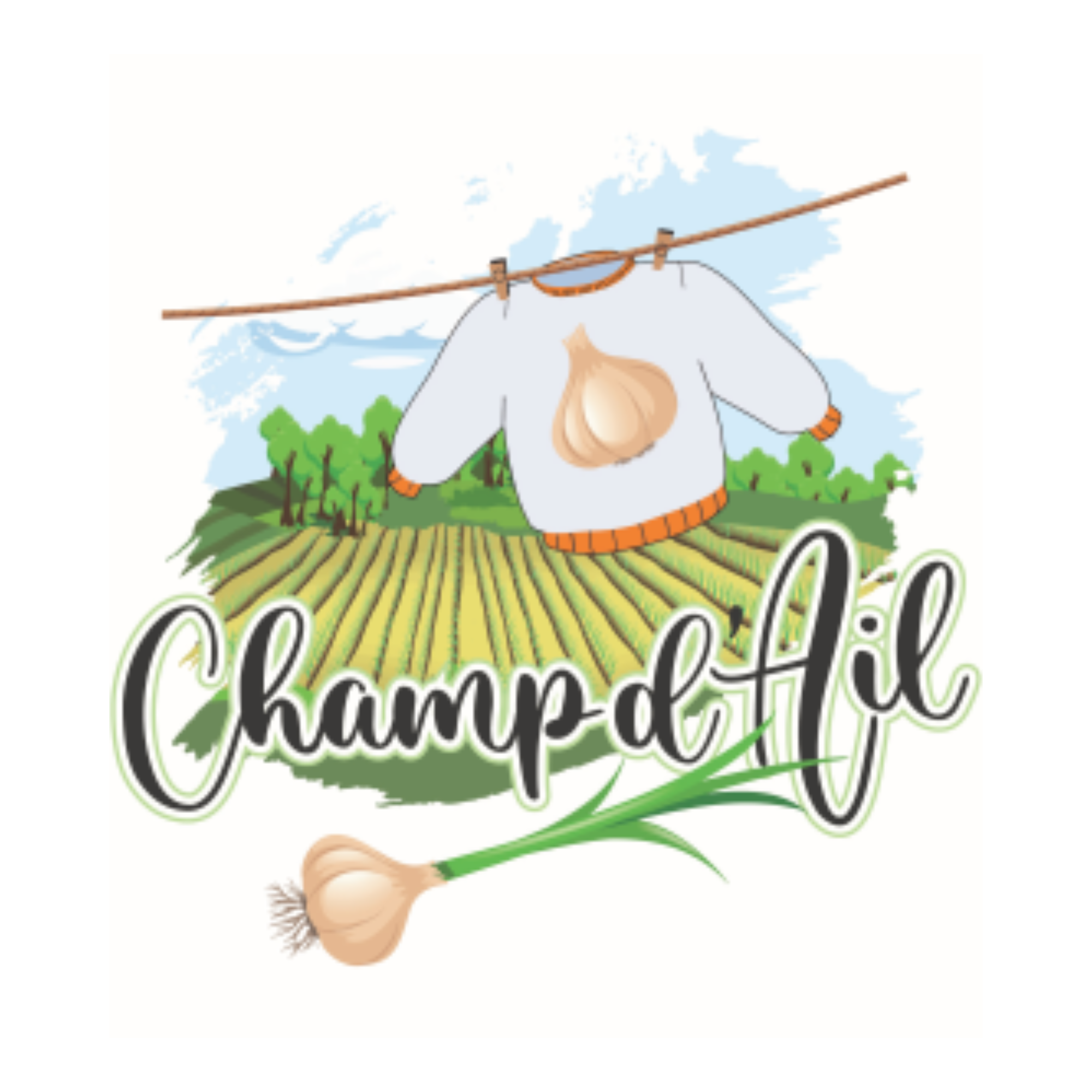 Champ d’ail