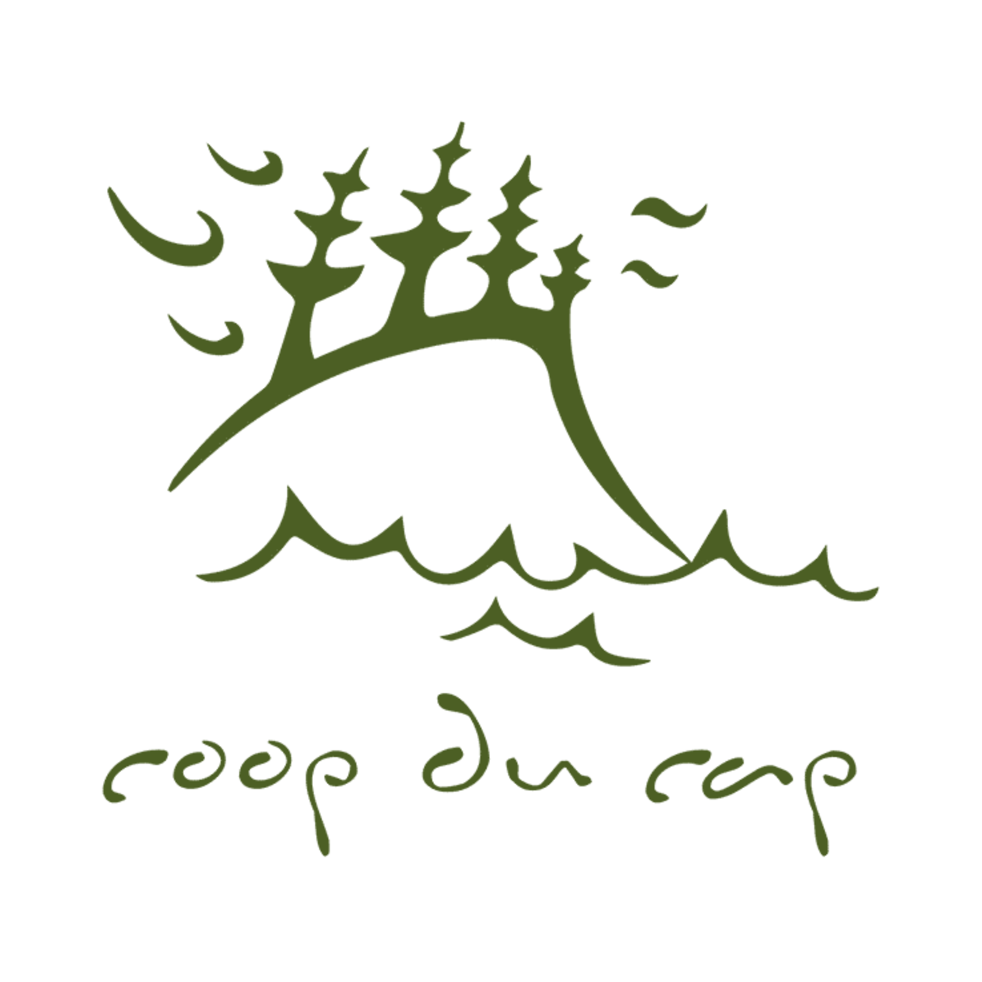 Coop du Cap