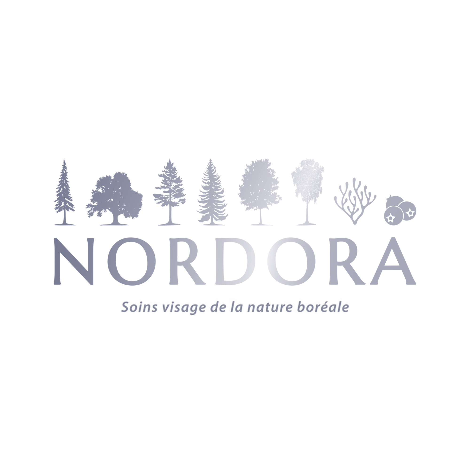 Nordora
